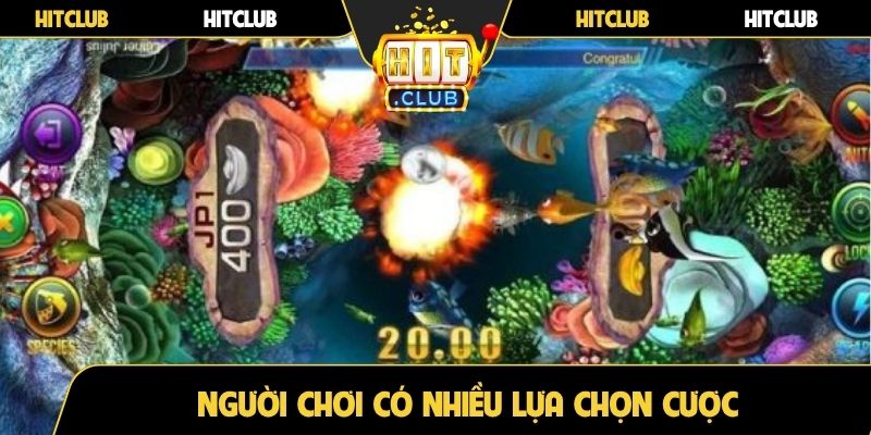 Người chơi có nhiều lựa chọn cược